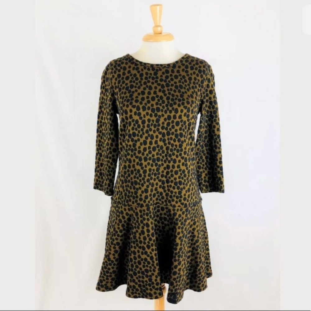 Loft Leopard Print Drop Waist Dress